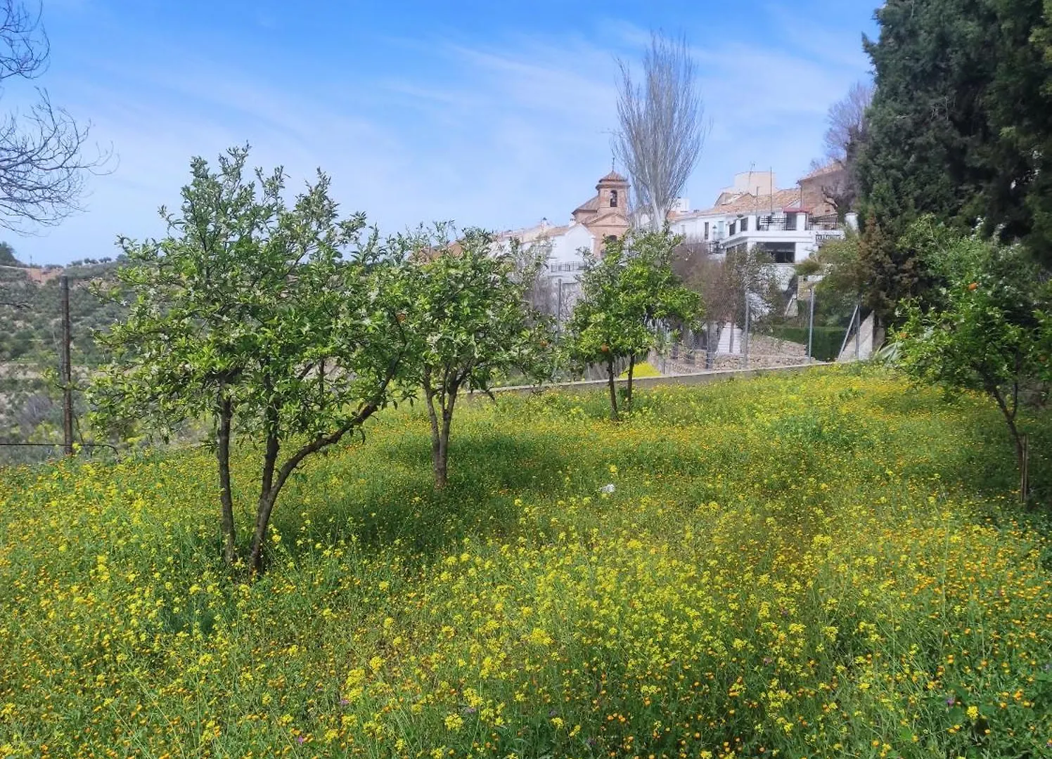 Casa Los Huertecillos Nivar
